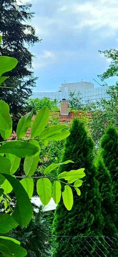 Johnis Fewo, Naehe Stadtzentrum - Uni In Sehr Ruhiger Lage Mit Terrasse Und Eigenem Parkplatz Cottbus Dış mekan fotoğraf